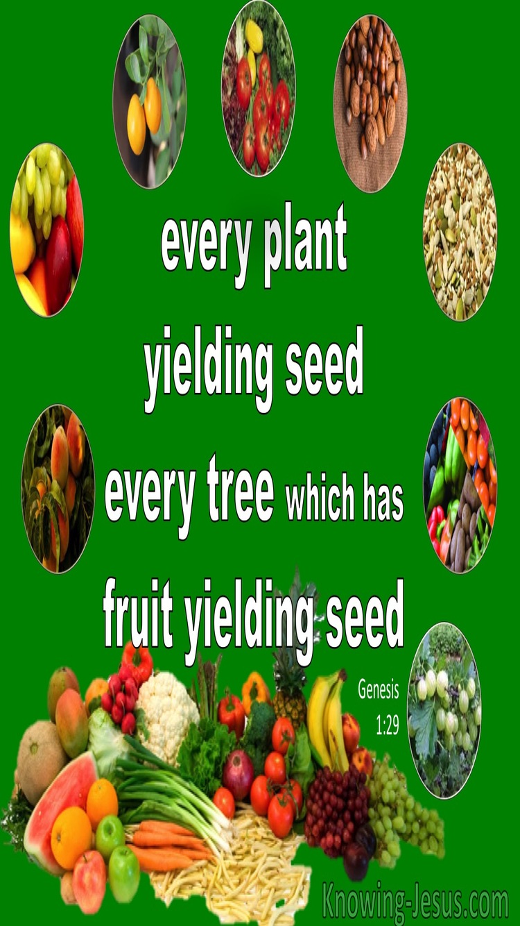 Genesis 1:29 Every Plant, Tree And Fruit Yielding Seed (green)